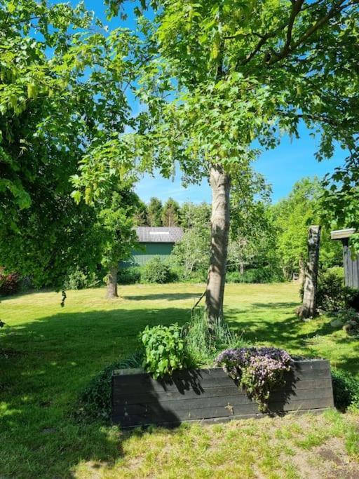 Willkommen In Frifelt Naehe Romo Mit Wunderschoenen Garten Skærbæk Exteriér fotografie